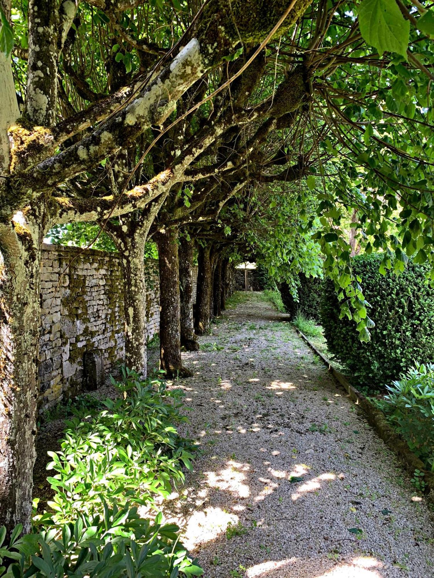 Le Clos Du Marronnier Rivieres-les-Fosses Dış mekan fotoğraf
